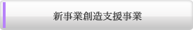 新事業創造支援事業